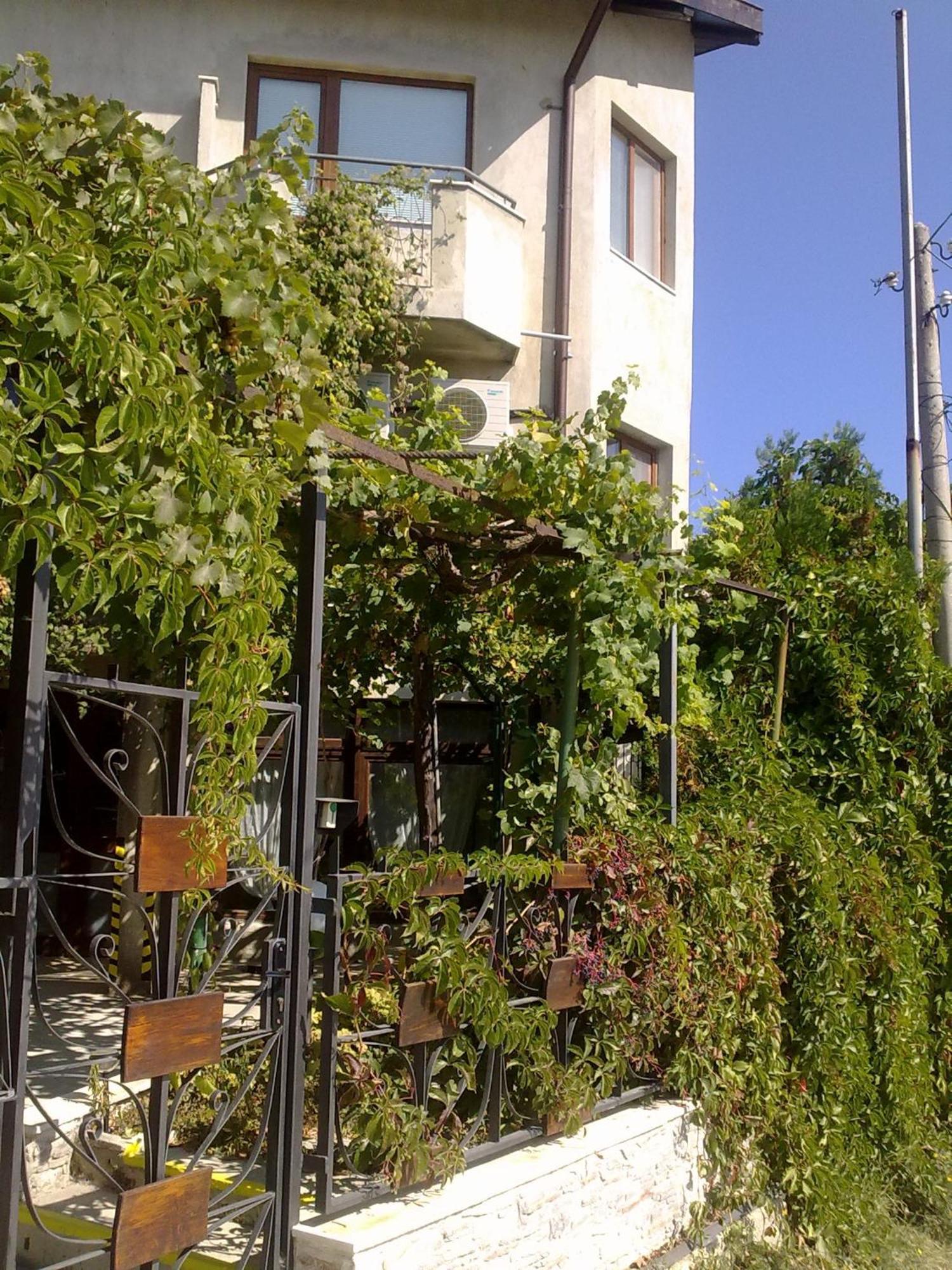 Villa Elfi 골든샌드 외부 사진
